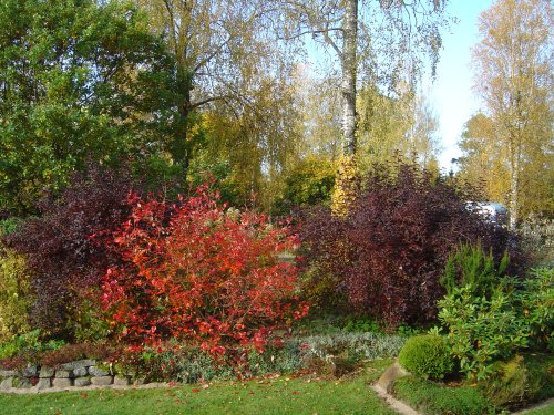 minns-i-nov2.jpg