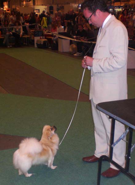 Tony med Enya
