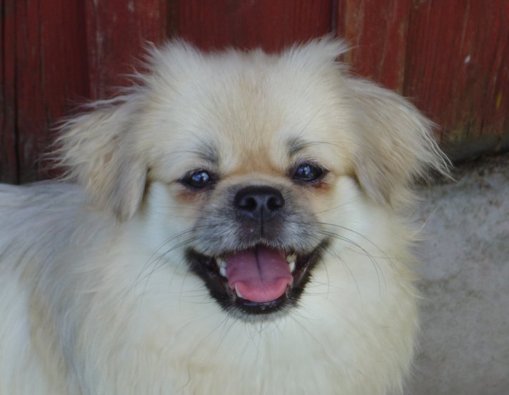 juni-laughing-06.jpg