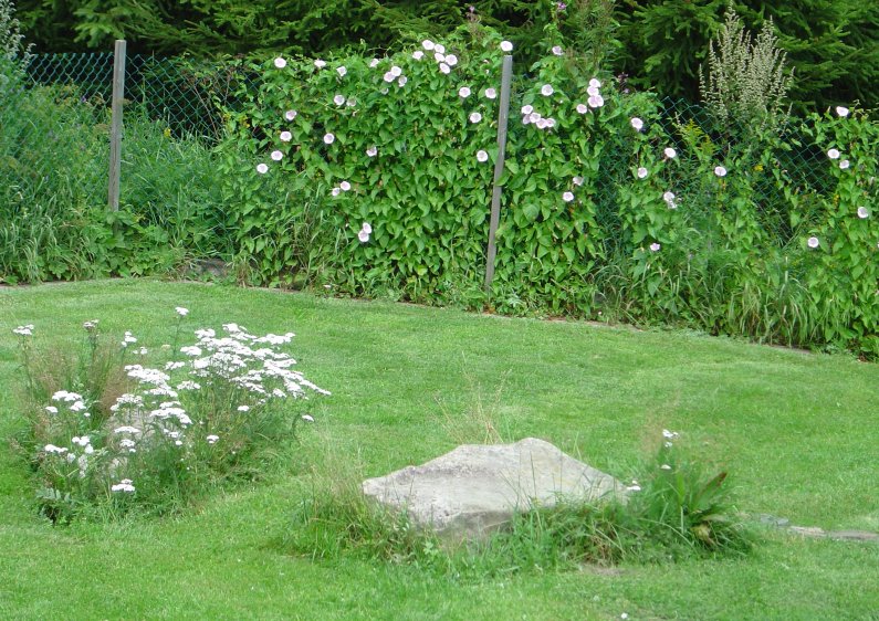 rasthagen-horn-med-akervinda.jpg