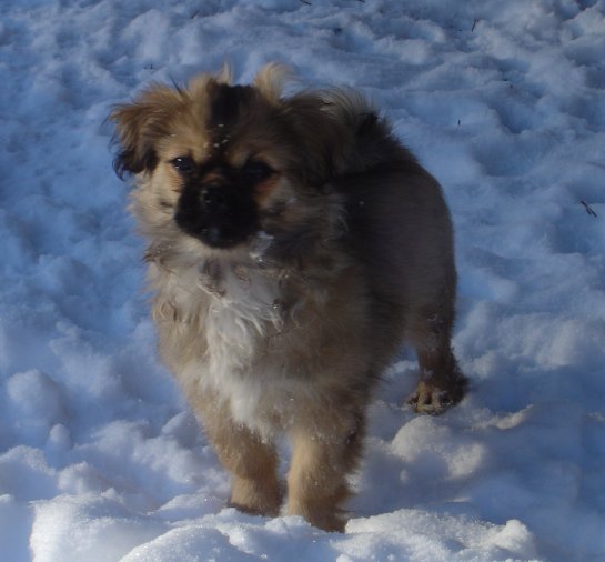 ava-9-feb-09-2.jpg