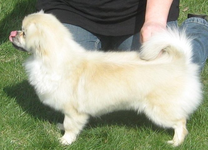 celia-big-2.jpg
