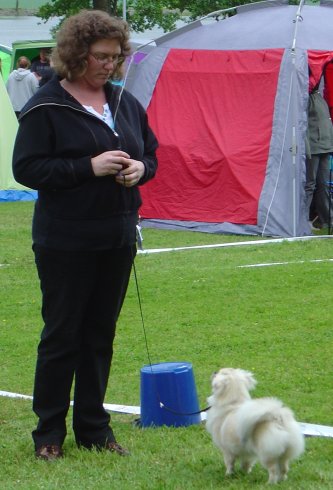 celia-i-ringen-vanersborg.jpg