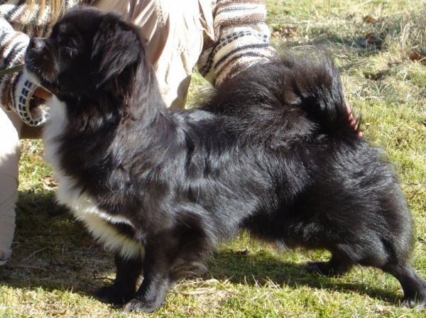 tian-15-april-07-2.jpg