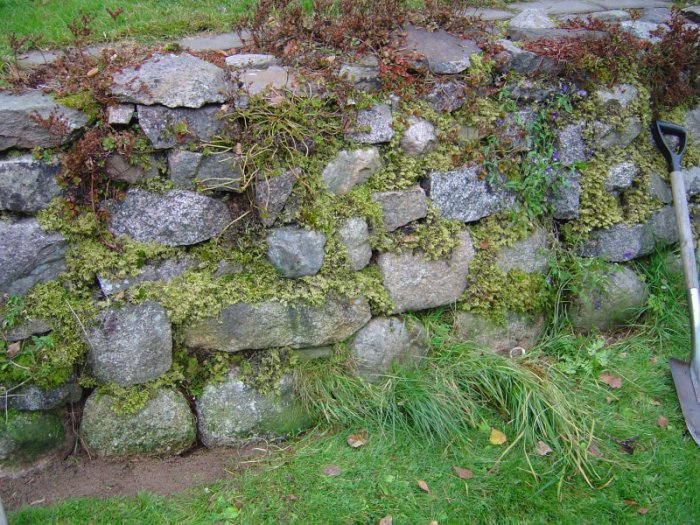 rensning-av-vallgrav-vid-muren.jpg