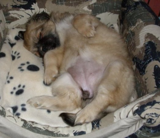 riv-ruby-sover.jpg
