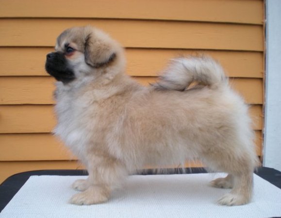 Milo snart 4mnd Milo snart 4mnd