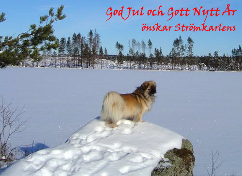God Jul