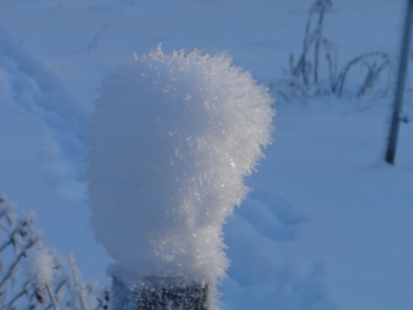 12 jan 2010 en plupp