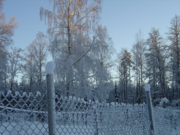 12 jan 2010