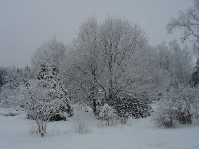 14 jan -10