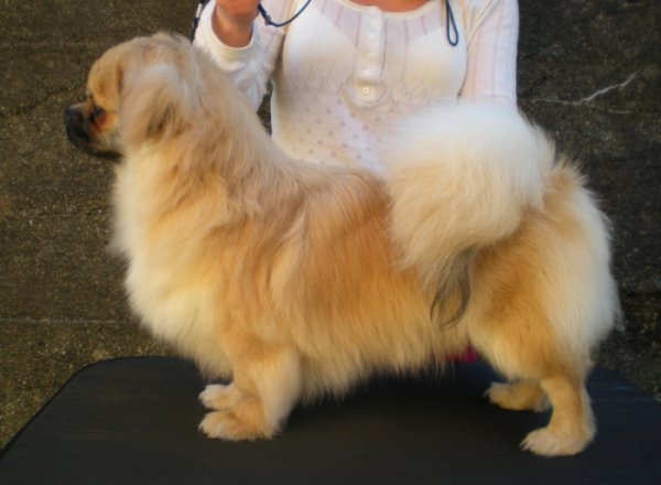 Milo 8 mnd