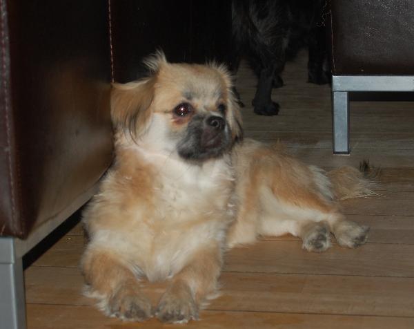setta 14 nov 1 2007