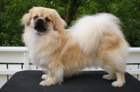 milo11mnd
