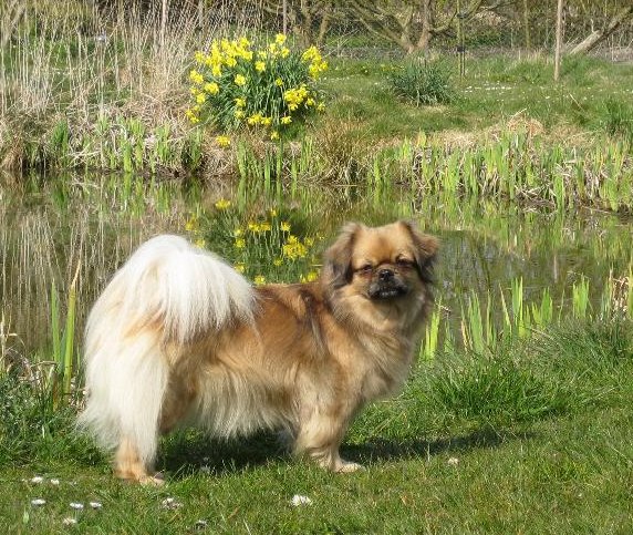 ninna april 1 2008
