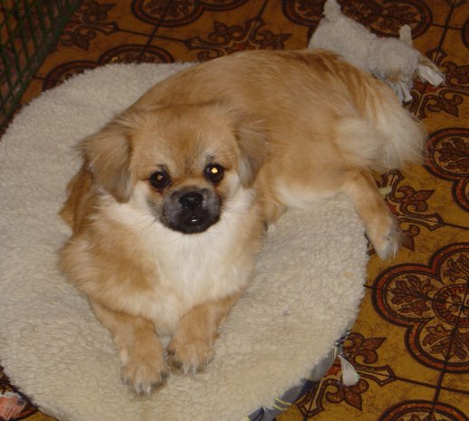 Hanna 25 jan