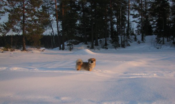 Hagge Bosjön Hagge Bosjön