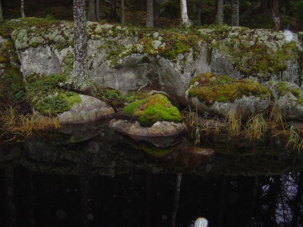 Dammsjöns kanal, klippor Dammsjöns kanal, klippor