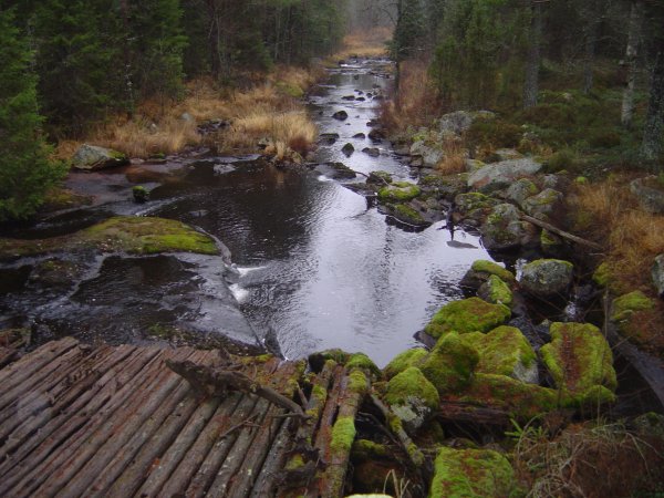 Dammsjöns utlopp Dammsjöns utlopp