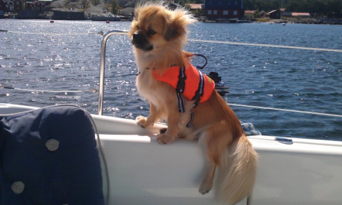 Hjalmar på båt Hjalmar på båt