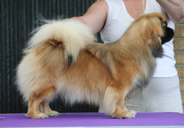 Ronja, BIR-junior Ronja, BIR-junior