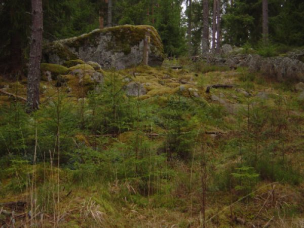 Oländig terräng Oländig terräng