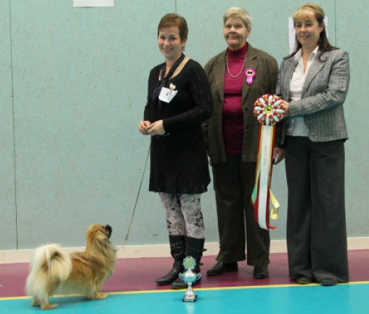 Ronja BIS-12 E-tuna Ronja BIS-12 E-tuna
