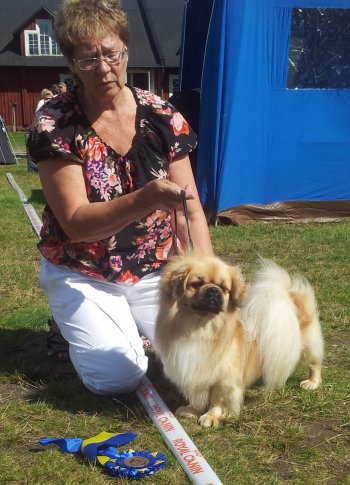 Nalle cert i Backamo