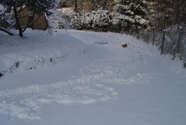 Valphagen i snö, nederdel