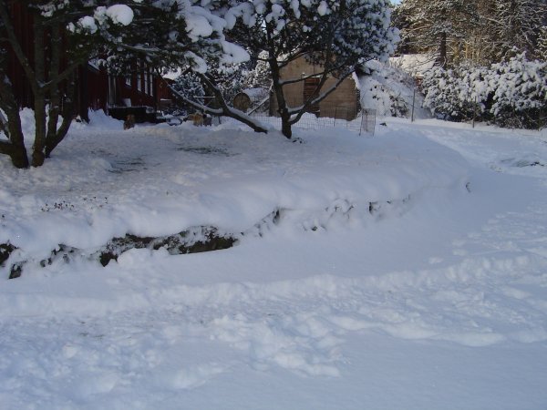 Valphagen överdel