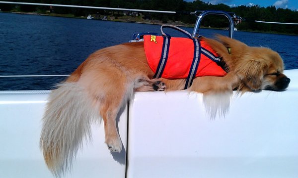 Nelson relax