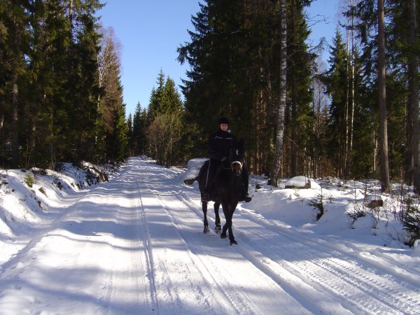 Mars1-13 möte med häst