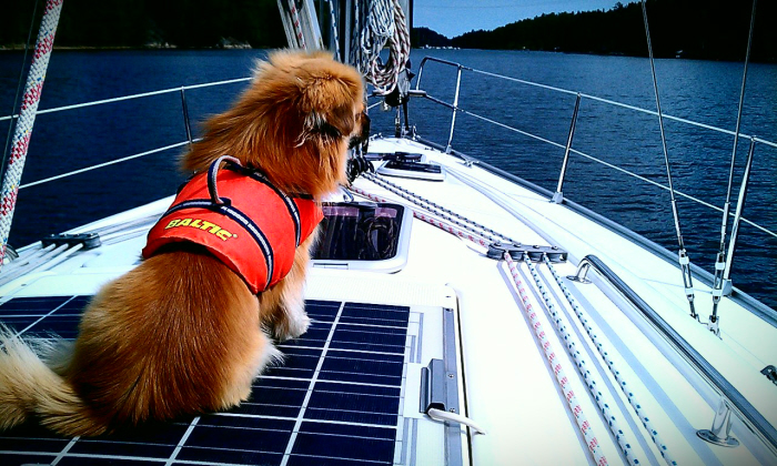 Nelson på post