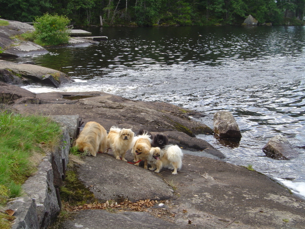 På promenad till Östersjön
