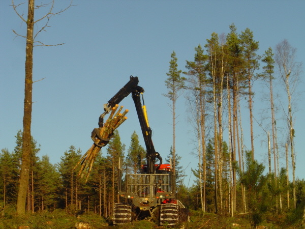 Skogsmaskin i arbete1