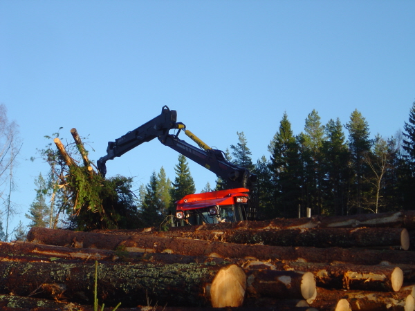 Skogsmaskin i arbete2