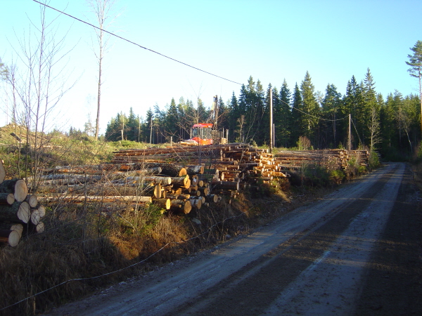 Skogsmaskin i arbete4