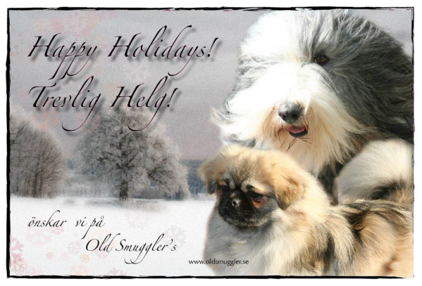 God Jul fr. Charlotte