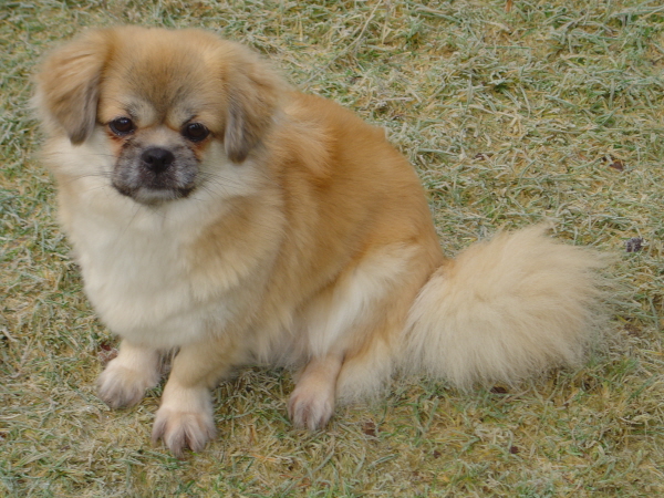 Hulda 30dec sitter