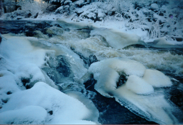 RIVERICE