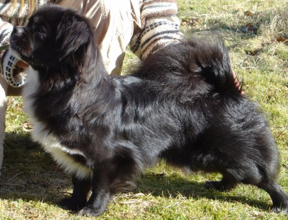 Tian 15 april -07 2