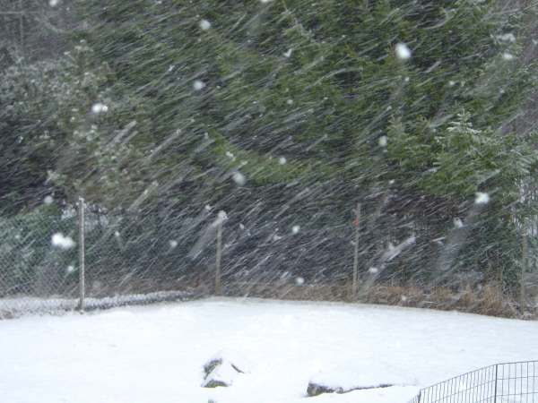 Snöstorm 15 feb-14