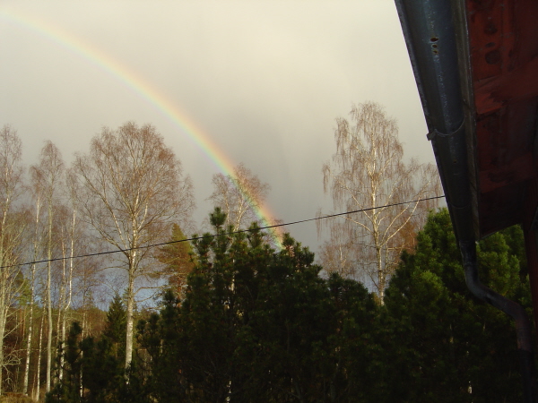 Regnbåga 11 april-14