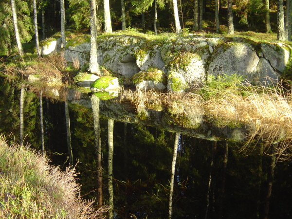 Tur 25 nov-14 kanalen1