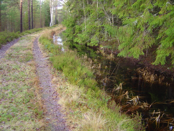 Tur 25 nov-14 stigen
