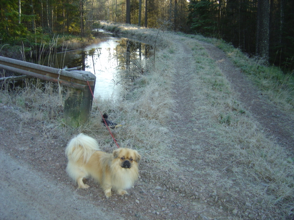 Tur 26 nov-14 kanal s med Nalle