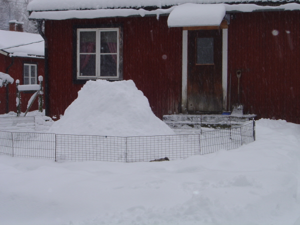 1feb-15 rasthage 2