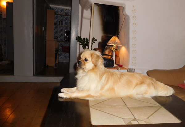 Gia ser på TV