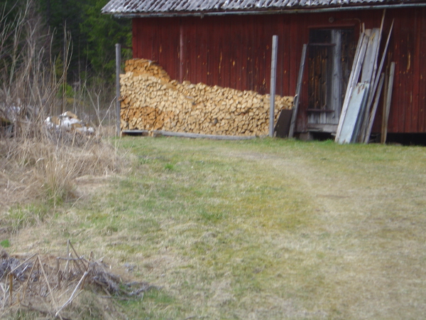 Vedtraven från vägen