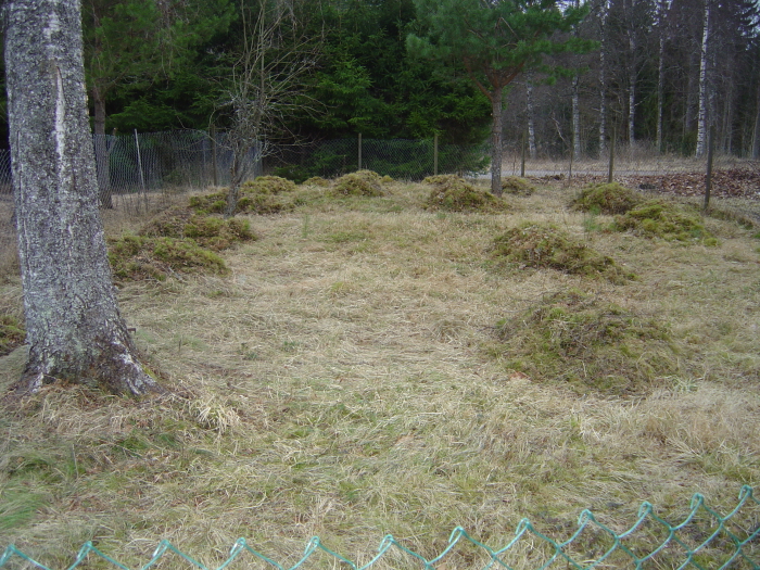 April 5 mosshögar